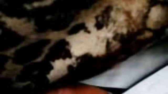 Dia menepati kesepakatan. cerita dewasa xxx terbaru